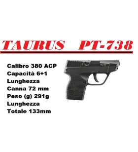 Taurus PT 738 Ultra - Carry...