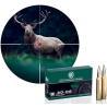 RWS Evo Green Cal. 30-06 / 136 grs
