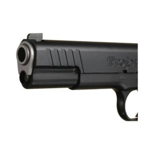 S.T.I. International Trojan 40SW canna 6"