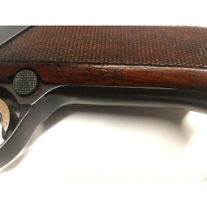 Luger Svizzera 24/06 Waffen Fabrik - Bern -