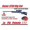 Gamo Big Cat + Ottica 4x32 & Fodero