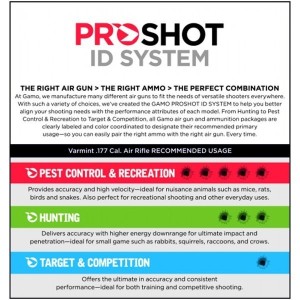 Gamo Big Cat + Ottica 4x32 & Fodero